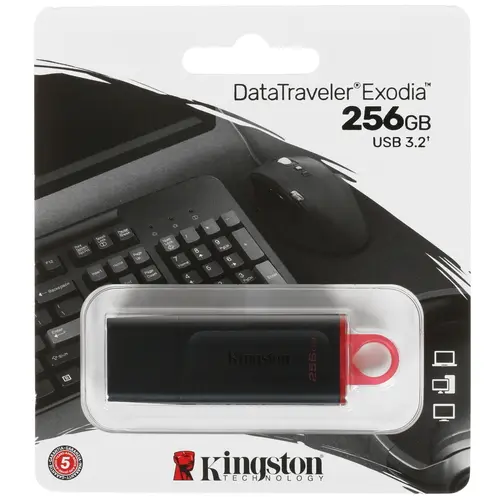 Память USB Flash 256 ГБ Kingston DataTraveler Exodia [DTX/256GB]