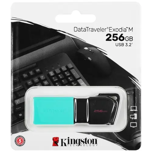 Память USB Flash 256 ГБ Kingston DataTraveler Exodia М [DTXM/256GB]