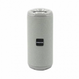 Портативная колонка BOROFONE R15, серый 