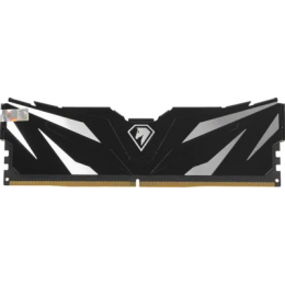 Оперативная память Netac Shadow II [NTSWD5P48SP-16K] 16 ГБ DDR5
