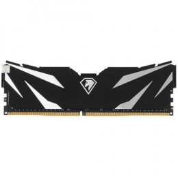 Оперативная память Netac Shadow II [NTSWD4P32SP-16K] 16 ГБ DDR4, 16 ГБx1, 3200 МГц, 19-19-19-43