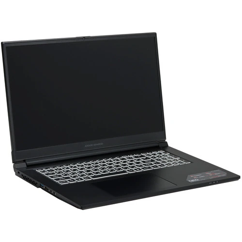 17.3" Ноутбук ARDOR GAMING NEO N17-I5ND415 черный