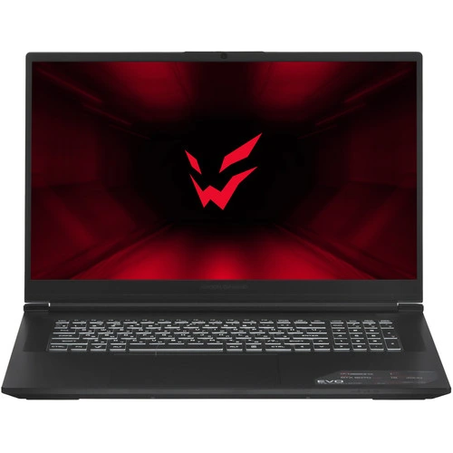 17.3" Ноутбук ARDOR GAMING EVO E17-I7ND501 черный
