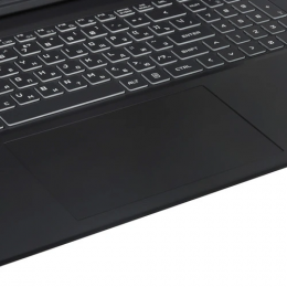 17.3" Ноутбук ARDOR GAMING EVO E17-I7ND501 черный